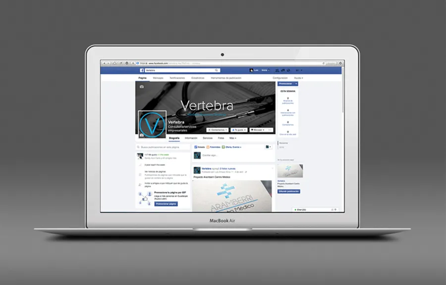 Vertebra — imagen 4